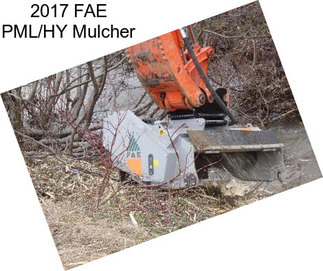 2017 FAE PML/HY Mulcher