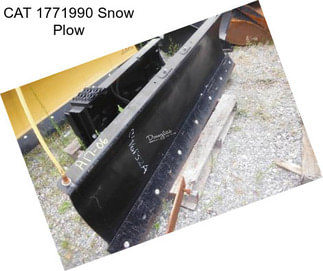 CAT 1771990 Snow Plow