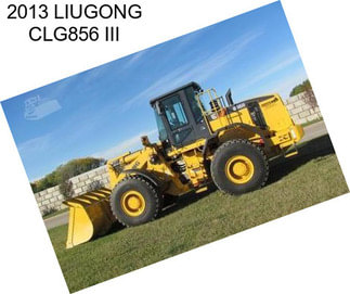 2013 LIUGONG CLG856 III