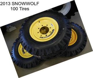 2013 SNOWWOLF 100 Tires