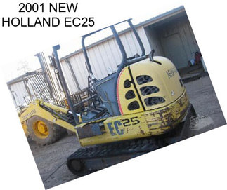 2001 NEW HOLLAND EC25