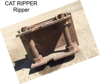 CAT RIPPER Ripper