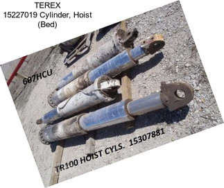TEREX 15227019 Cylinder, Hoist (Bed)