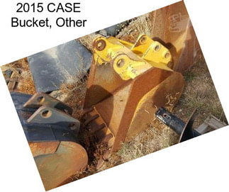 2015 CASE Bucket, Other