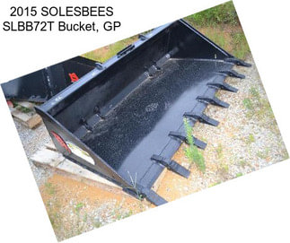 2015 SOLESBEES SLBB72T Bucket, GP