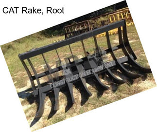 CAT Rake, Root