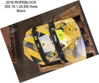 2016 ROPEBLOCK 355.19.1.25.EB Hook Block