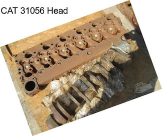 CAT 31056 Head