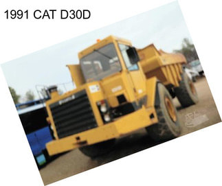 1991 CAT D30D