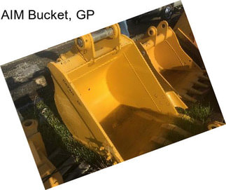 AIM Bucket, GP