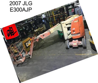 2007 JLG E300AJP