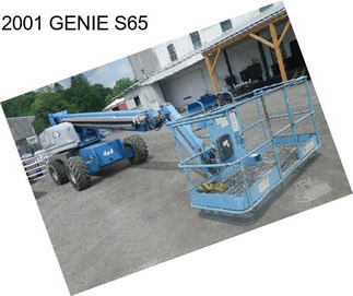 2001 GENIE S65