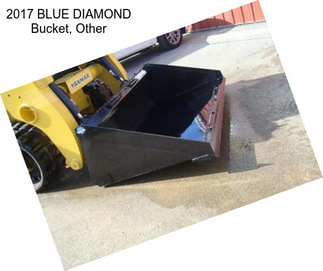 2017 BLUE DIAMOND Bucket, Other
