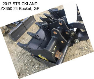 2017 STRICKLAND ZX350 24 Bucket, GP