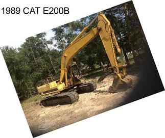 1989 CAT E200B