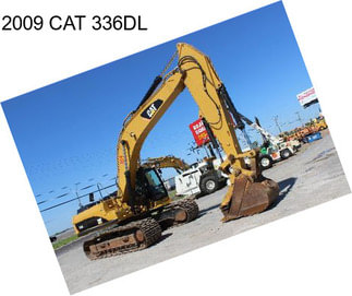 2009 CAT 336DL