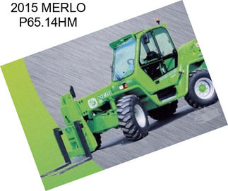 2015 MERLO P65.14HM
