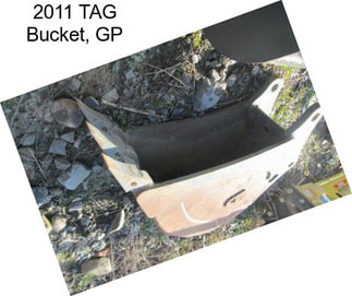 2011 TAG Bucket, GP