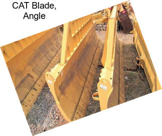 CAT Blade, Angle