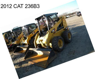 2012 CAT 236B3