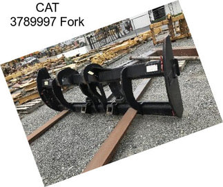 CAT 3789997 Fork