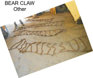 BEAR CLAW Other