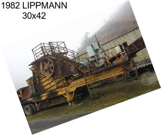 1982 LIPPMANN 30x42