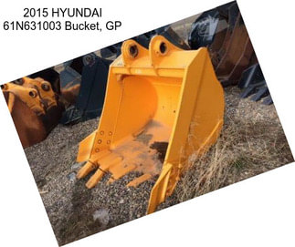2015 HYUNDAI 61N631003 Bucket, GP