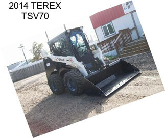 2014 TEREX TSV70