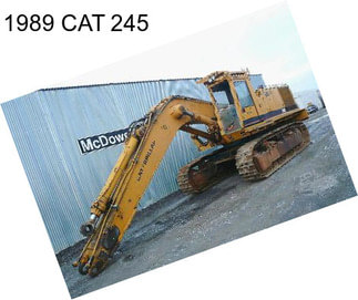 1989 CAT 245