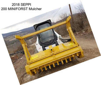 2018 SEPPI 200 MINIFORST Mulcher