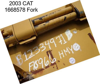 2003 CAT 1668578 Fork