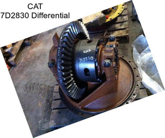 CAT 7D2830 Differential