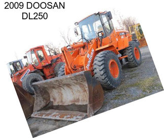 2009 DOOSAN DL250