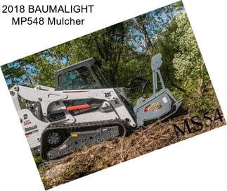 2018 BAUMALIGHT MP548 Mulcher