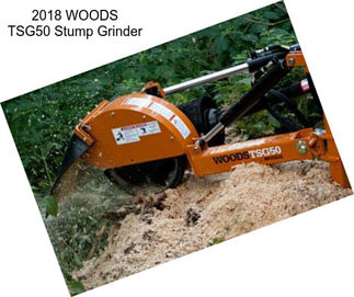 2018 WOODS TSG50 Stump Grinder