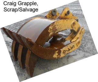 Craig Grapple, Scrap/Salvage