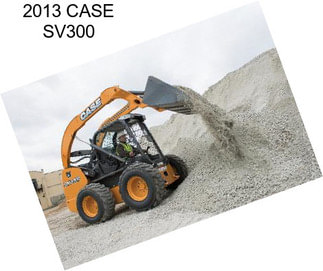 2013 CASE SV300