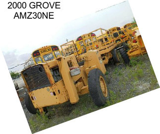 2000 GROVE AMZ30NE