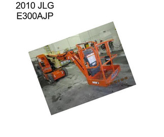 2010 JLG E300AJP