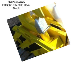 ROPEBLOCK FRB360.9.5.80.E Hook Block