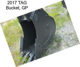 2017 TAG Bucket, GP