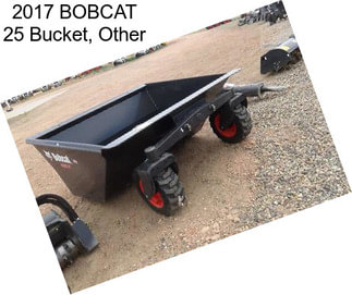 2017 BOBCAT 25 Bucket, Other