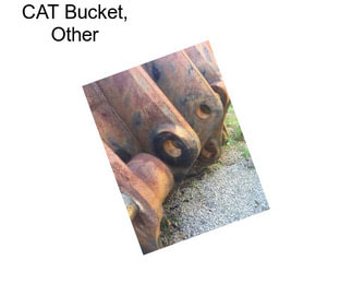 CAT Bucket, Other