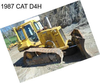 1987 CAT D4H