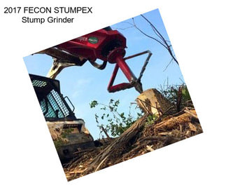 2017 FECON STUMPEX Stump Grinder