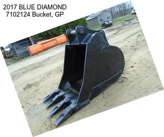 2017 BLUE DIAMOND 7102124 Bucket, GP