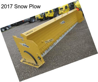 2017 Snow Plow