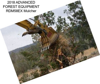 2018 ADVANCED FOREST EQUIPMENT RDM58EX Mulcher
