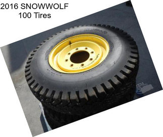 2016 SNOWWOLF 100 Tires